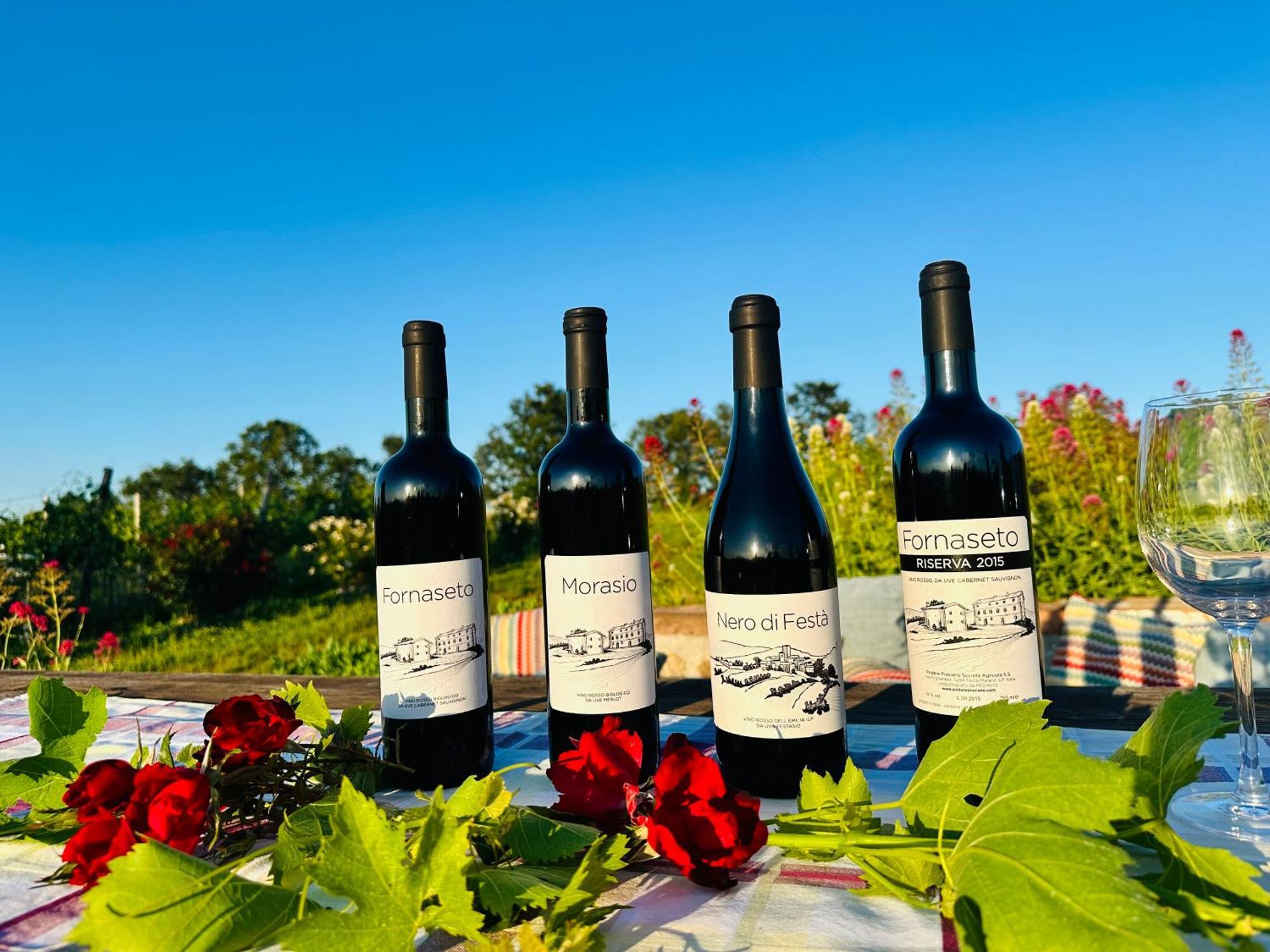Agriturismo Podere Prasiano Marano sul Panaro Exteriör bild