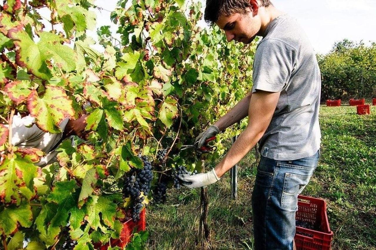 Agriturismo Podere Prasiano Marano sul Panaro Exteriör bild