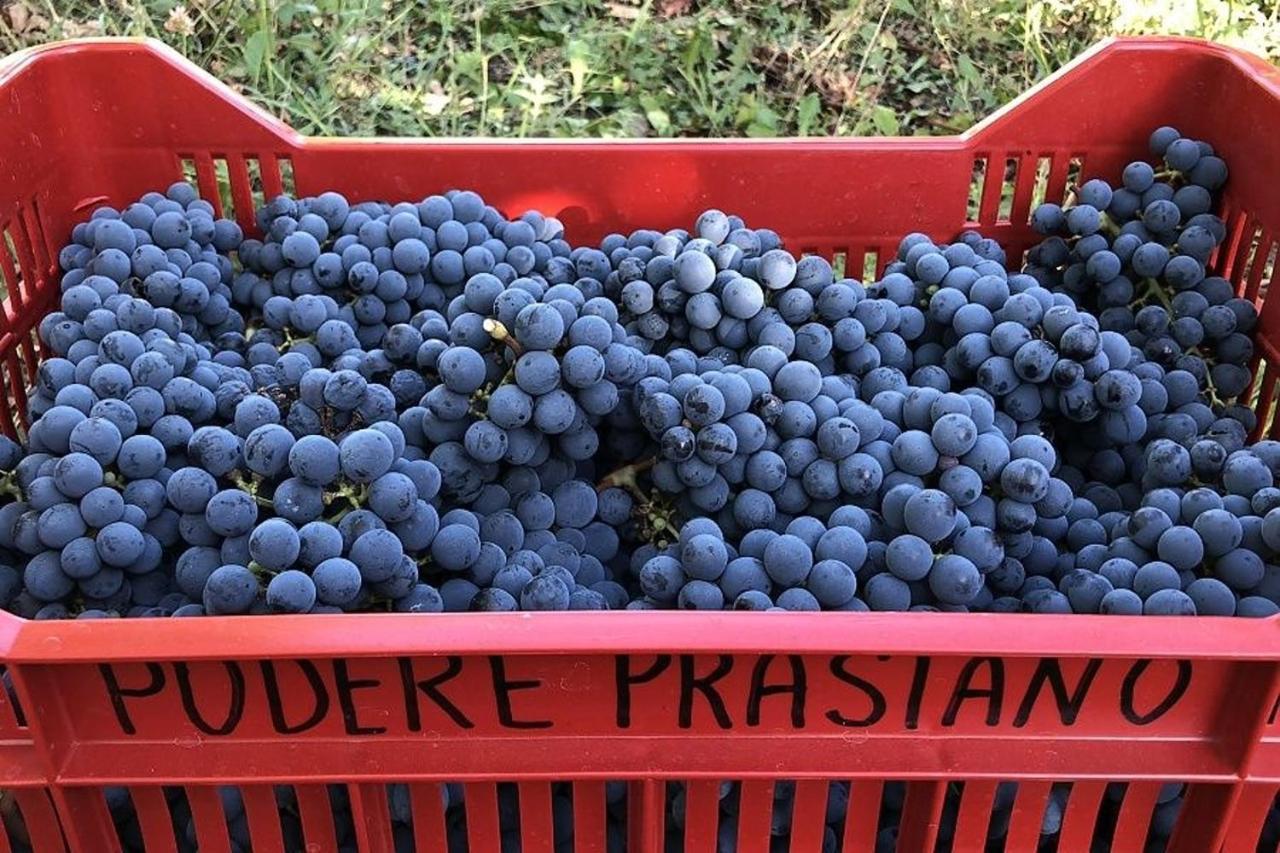 Agriturismo Podere Prasiano Marano sul Panaro Exteriör bild
