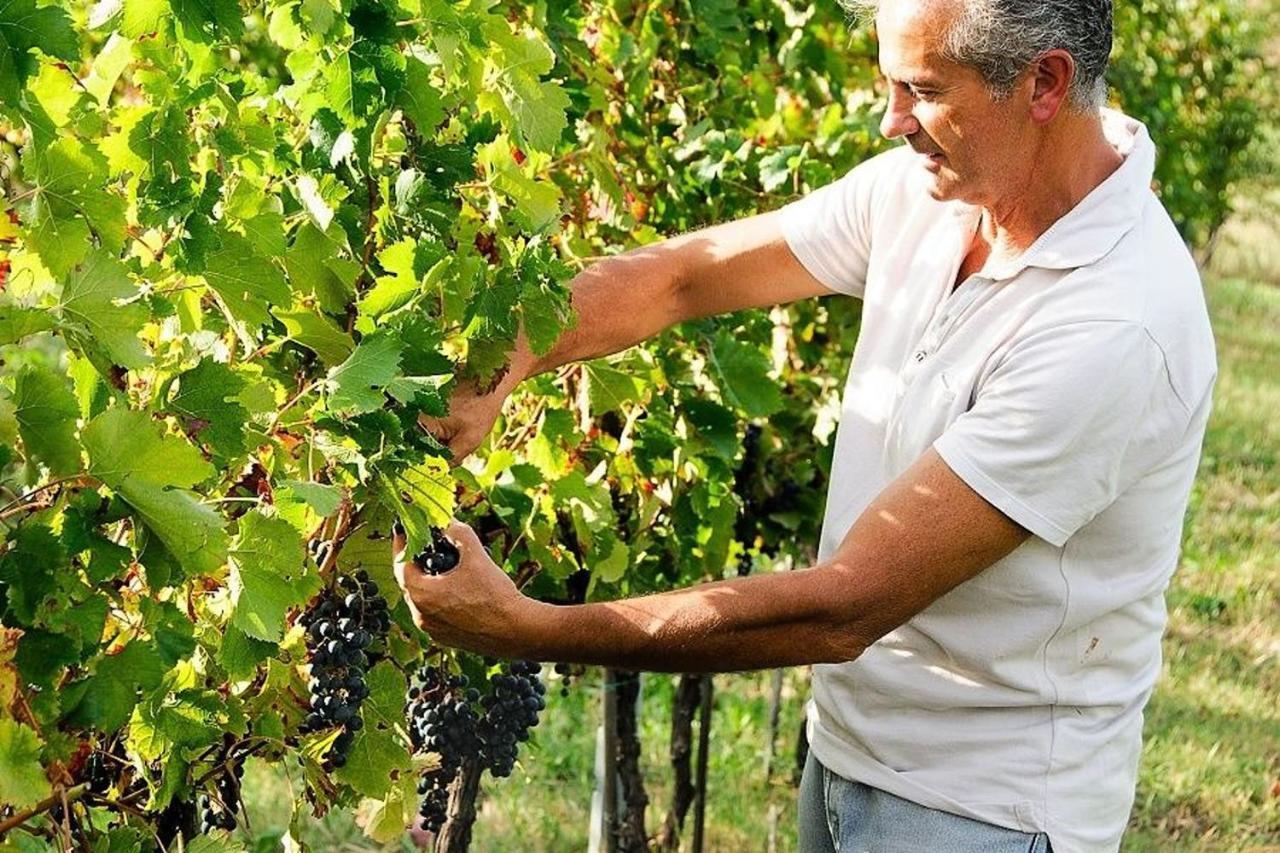 Agriturismo Podere Prasiano Marano sul Panaro Exteriör bild
